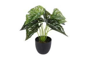 Kunstplant Aglaonema sunshine lime in pot green 26cm