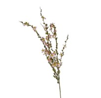 Kunst bloem Prunus wit