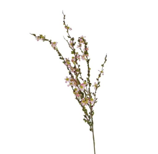 Kunst bloem Prunus wit