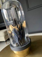 Veren wit/goud zwart/goud 10 stuks