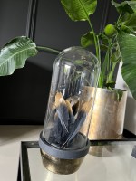 Veren wit/goud zwart/goud 10 stuks