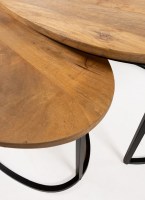 Hannover salontafel organisch, set van 2, Smooth Natural - Must Have Collection