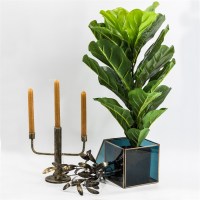 pbergdoos brass met rookglas maat L