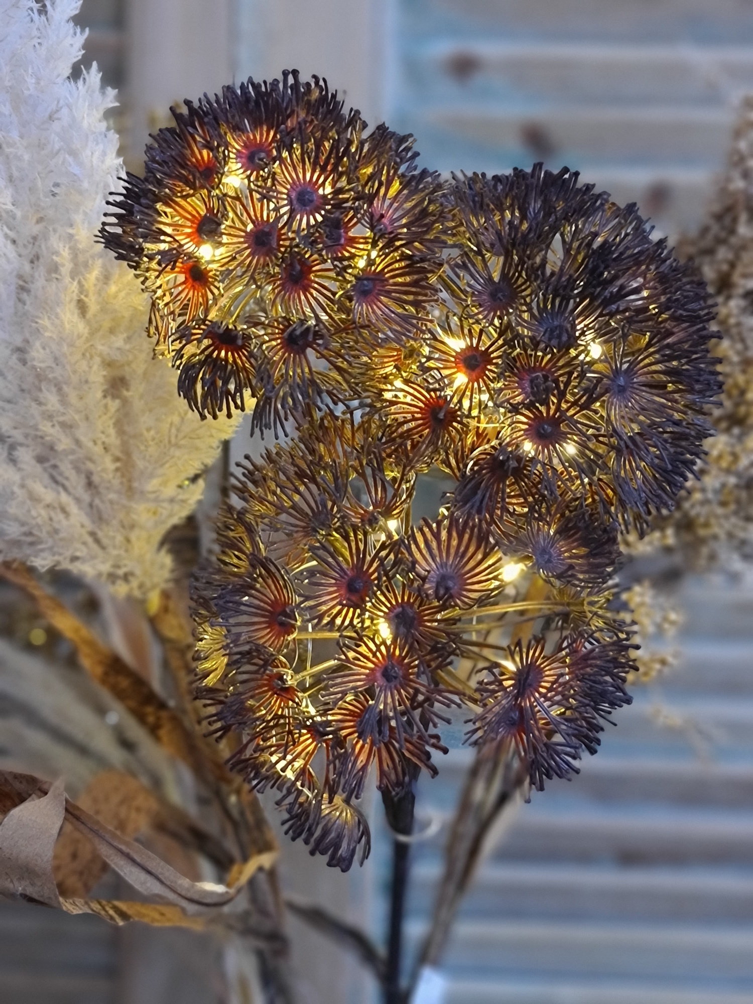 Bereklauw / heracleum met verlichting bruin 80 cm