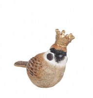 Royal bird bruin