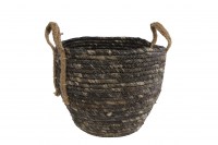 Mand "Tim" M naturel riet