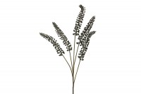 Zijde "Phytolacca"  zwart
