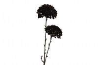 kunsttak Dahlia oud brons 48 cm