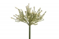 Kunst tak "African flower" groen