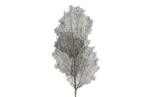 Kunst tak Coral Leaf
