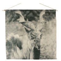 Wanddoek geit canvas 74 cm