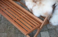 product_large_8714713086795_7.jpg