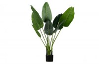 Strelitzia Kunstplant Groen 108cm