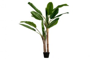 Bananenplant Kunstplant Groen 138cm
