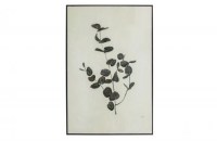 Yaro Eucalyptus Kunstlijst Zwart
