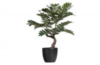Zamia Kunstplant Groen 76cm
