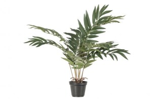 Kwai Kunstplant Groen 68cm