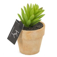 vetplant in pot